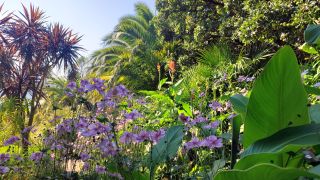 Ventnor Walking Tour